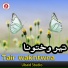Ubaid Studio