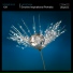 Ultraphonic