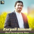 Zaryali Samadi