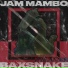 BAXSNAKE feat JAM MAMBO