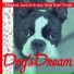 Dog s Dream