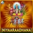 Anil