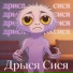 Дрыся Сися