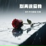 流年不吃榴莲, 吴瑭