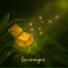 Impensa2