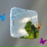 dododowson, Iceone