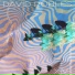David Robles