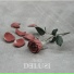FIORE.