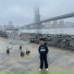 SEMPA, Local