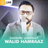 Walid Hamraaz