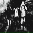 dehollia, d.werptl, macuevii, deadfil