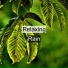 Relaxing Rain Sounds