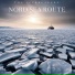 The Icebreakers