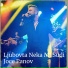 Joce Panov