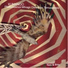 Nara de Shile