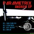 Parametrix