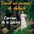 Carmen de la Salciua