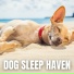 The Sleepy Sounds