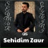 Seymur Qezvini