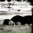 BUZZ