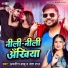 Avnish Babu, Neha Raj