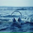 EVP, Waves of Atlantic, Binaural Beats Noise