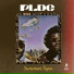 PLDG