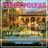 Los Guadalupanos