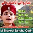 M Shakeel Sandhu Qadri