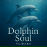 Vaidara