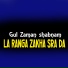 Gul Zaman shabnam