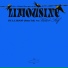 Limousine, Victor Solf