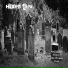 Hidden Filez