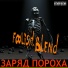 Foolish Blend
