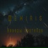 TemiRiS