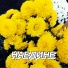 Сергей Грищук