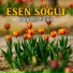 Esen Söğüt