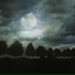 Andrew Potterton