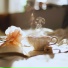 Coffee Shop Lovers
