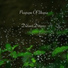 Program of Utopia