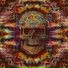 svtomii, Z!n R