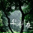 安可儿, 小欻欻