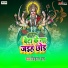 Vikrant Ray