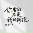 陆游