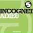 Incognet