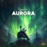 Panda Lofi, Panda Chill, Panda Music
