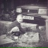 False Boy