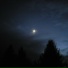 forlorn