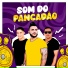 Forró Like o som da curtição