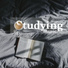 Studying Music & Best Relaxation Music